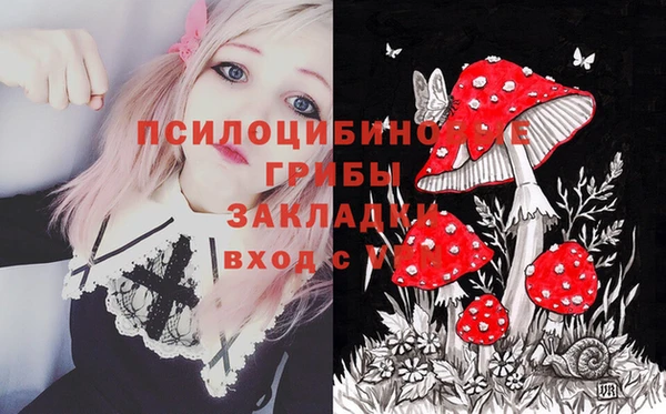 ALPHA PVP Алзамай